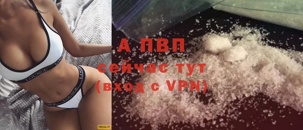 PSILOCYBIN Снежинск